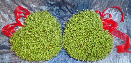مدل سبزه میمون عید نوروز 95