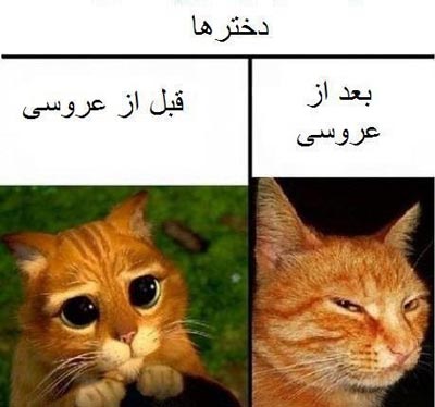 خنده دارترین عکس نوشته های داغ ضد دخترا