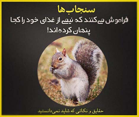 عکس نوشته های دانستنی و خواندنی