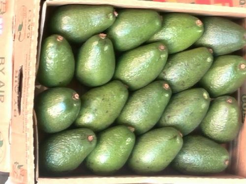 ماجرای ظهور ناگهانی میوه های عجیب در تهران (عکس)