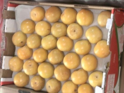 ماجرای ظهور ناگهانی میوه های عجیب در تهران (عکس)