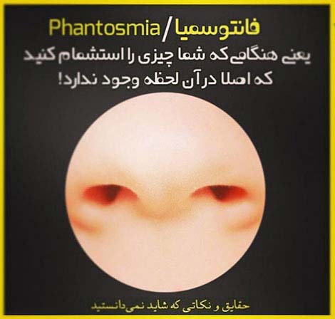 عکس نوشته های دانستنی و خواندنی