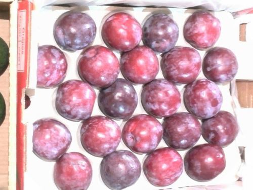 ماجرای ظهور ناگهانی میوه های عجیب در تهران (عکس)
