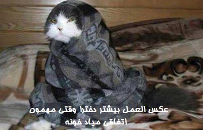 خنده دارترین عکس نوشته های داغ ضد دخترا