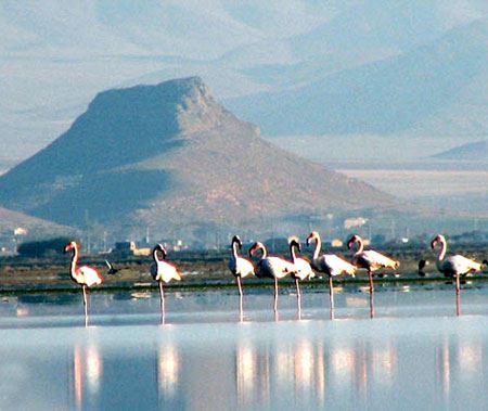 معرفی زیبا و بکرترین تالاب های ایران (عکس)