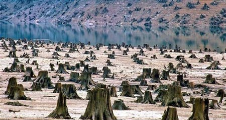 زشت و غم انگیزترین کارت پستال های واقعی