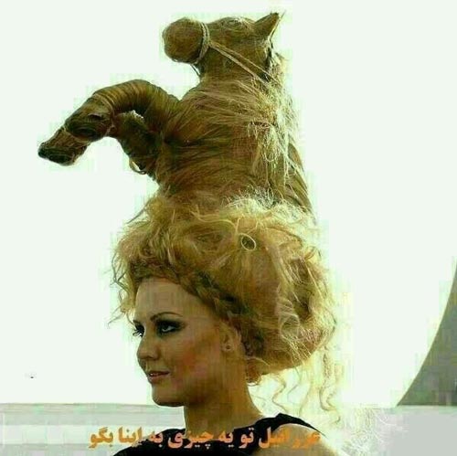 عکس های بسیار خنده دار و جوک های بی ادبی تلگرام (12)