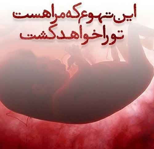 عکس نوشته های مینی شعرهای زیبا (11)