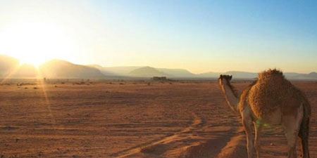 گردشگری در بهترین کمپ های کویری ایران (عکس)