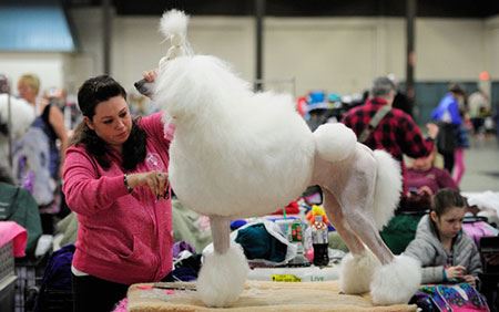 عکس های دیدنی و جذاب 2016-2017
