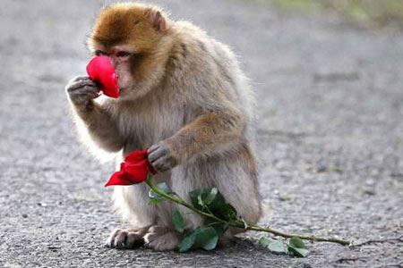عکس های داغ و دیدنی خواندنی روز (86)