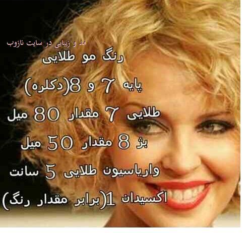 ترکیب انواع رنگ مو با عکس در سایت نازوب سری 2