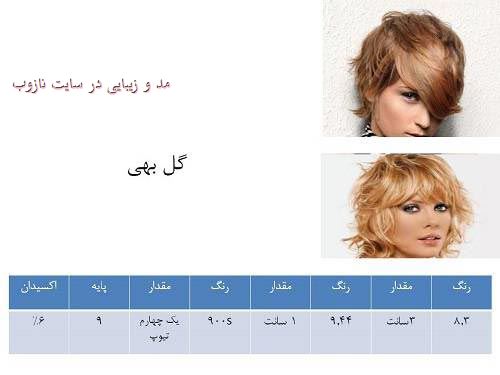 ترکیب انواع رنگ مو با عکس در سایت نازوب سری 2