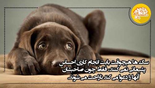 عکس نوشته های دانستنی و جالب (11)
