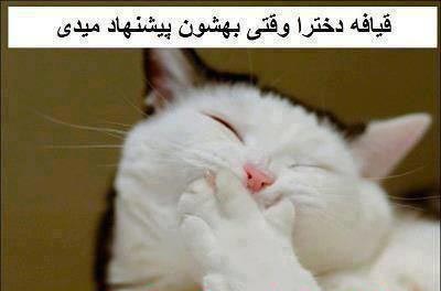 خنده دارترین عکس نوشته های داغ ضد دخترا
