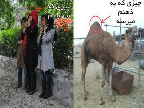 عکس و ترول های خنده دار و خفن