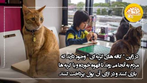 عکس نوشته های دانستنی و جالب (11)