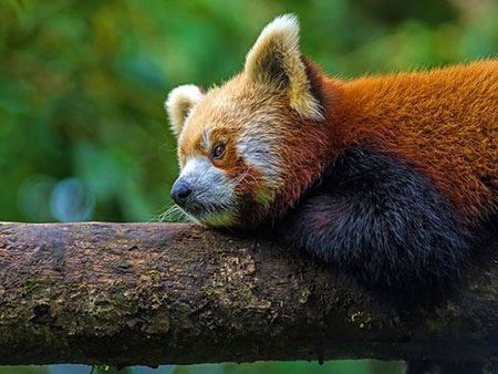 عکس های داغ و دیدنی خواندنی روز (86)