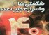 رازهای شگفت انگیز عدد 40