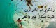 زشت و غم انگیزترین کارت پستال های واقعی