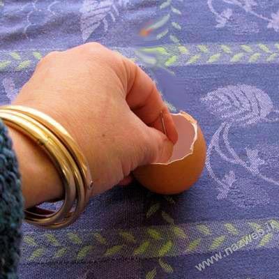آموزش تصویری و جدید سبزه انداختن با تخم مرغ