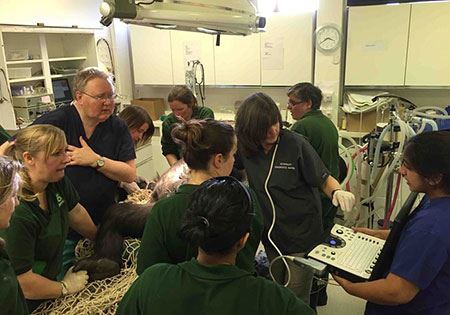 عکس های دیدنی و داغ منتخب از جهان (86)