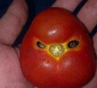 عکس نوشته های داغ و خیلی خنده دار