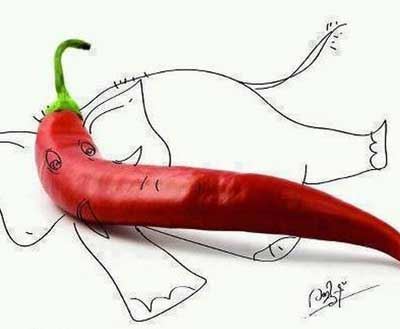 عکس نوشته های داغ و خیلی خنده دار