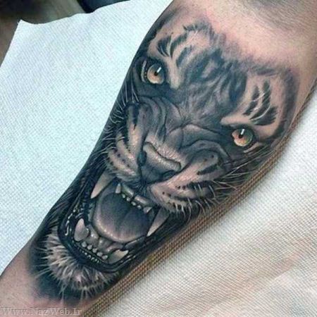 مدل نقاشی های حیرت انگیز سه بعدی روی بدن برهنه