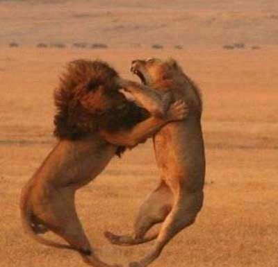 عکس نوشته های داغ و خیلی خنده دار