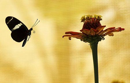 عکس نوشته جالب روی یک رای باطله !