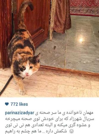 گالری دیدنی عکس های بازیگران در شبکه های اجتماعی
