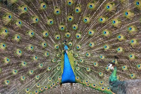 عکس نوشته جالب روی یک رای باطله !