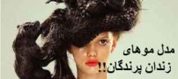 عکس های عجیب ترین مدل موهای حیرت انگیز