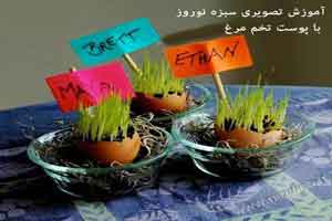 آموزش تصویری و جدید سبزه انداختن با تخم مرغ