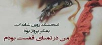 زیباترین عکس نوشته های عاشقانه عارفانه (23)
