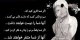 زیباترین عکس نوشته های الهام بخش زندگی (20)