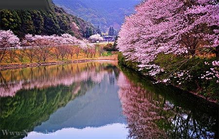 عکس های زیبای بهاری و عشق آفرین