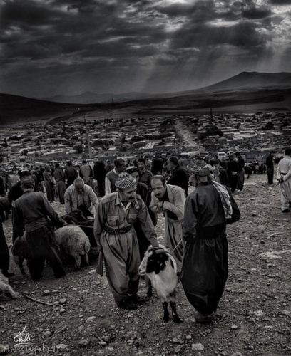 عکس؛ اینجا ایران است (2)
