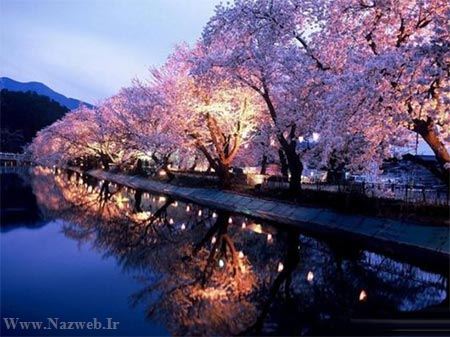 عکس های زیبای بهاری و عشق آفرین