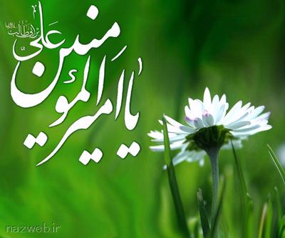 سبک زندگی امام علی (ع)