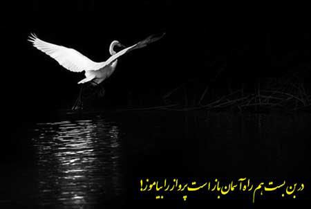 اینستاگرام با عکس نوشته های عاشقانه و آموزنده