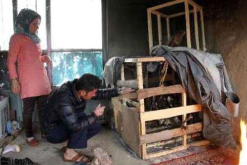 اقدام جالب زوج جوان و تحصیل کرده ایرانی (عکس)