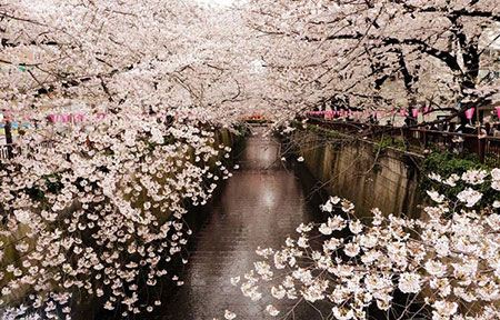 عکس های داغ و دیدنی روز (91)