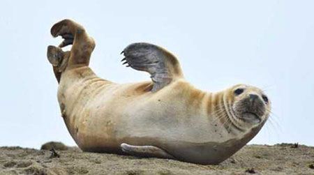 عکس های داغ و دیدنی روز (91)