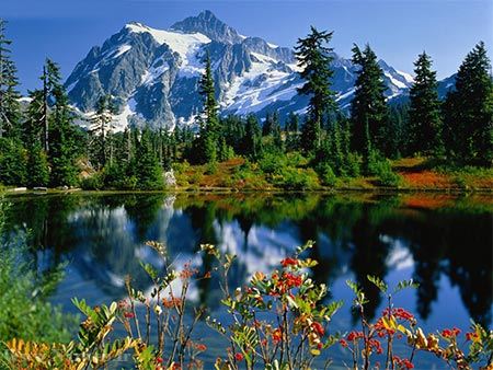 عکس های زیبای بهاری و عشق آفرین