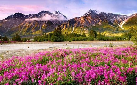 عکس های زیبای بهاری و عشق آفرین