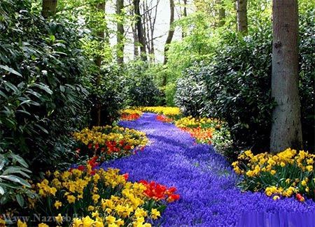 عکس های زیبای بهاری و عشق آفرین