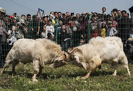 عکس های داغ و دیدنی روز (91)