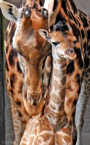 عکس های داغ و دیدنی روز (92)